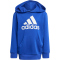 adidas Essentials Logo Hoodie Kinder AETC - selubl/white 104