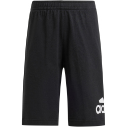 adidas Essentials Logo T-Shirt und Shorts Set Kinder A0TB - brired 110