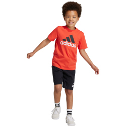adidas Essentials Logo T-Shirt und Shorts Set Kinder A0TB - brired 110