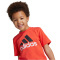 adidas Essentials Logo T-Shirt und Shorts Set Kinder A0TB - brired 110