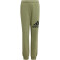 adidas Essentials Regular Fit Big Logo Cotton Jogginghose Kinder A98F - tengrn/black 128