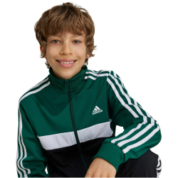 adidas Essentials Tiberio Trainingsanzug Kinder 024A - cgreen/white/black/wh 176
