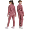 adidas Essentials Tiberio Trainingsanzug Kinder AFAK - precri/sepisp/sanpin 176