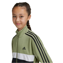 adidas Essentials Tiberio Trainingsanzug Kinder A98F - tengrn/black/white 164