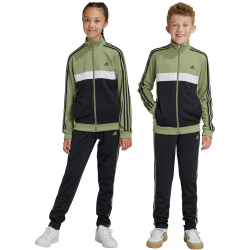 adidas Essentials Tiberio Trainingsanzug Kinder A98F - tengrn/black/white 176