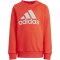 adidas Essentials Logo French Terry Jogginganzug Kinder A0TB - brired 104