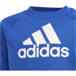 adidas Essentials Logo French Terry Jogginganzug Kinder AETC - selubl 104