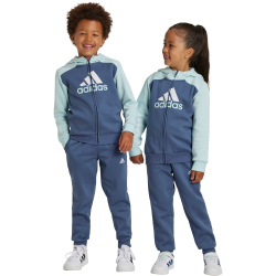 adidas Essentials Big Logo Trainingsanzug Kinder AE6R - halmin/prloin 110
