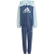 adidas Essentials Big Logo Trainingsanzug Kinder AE6R - halmin/prloin 110