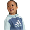 adidas Essentials Big Logo Trainingsanzug Kinder AE6R - halmin/prloin 110