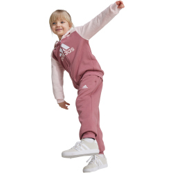 adidas Essentials Big Logo Trainingsanzug Kinder AFB1 - sanpin/precri 104