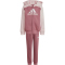 adidas Essentials Big Logo Trainingsanzug Kinder AFB1 - sanpin/precri 104