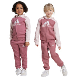 adidas Essentials Big Logo Trainingsanzug Kinder AFB1 - sanpin/precri 110