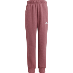 adidas Essentials Big Logo Trainingsanzug Kinder AFB1 - sanpin/precri 110