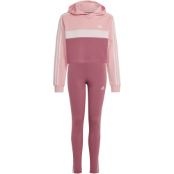 adidas Tiberio 3-Streifen Colorblock Training-Set (Pullover + Leggings) Kinder AFAP - sepisp/sanpin/precri 152