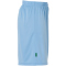 uhlsport For the Planet Center Basic Fußballshorts Herren