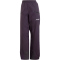 adidas TERREX Multi 2L RAIN.RDY Insulated Wanderhose Damen