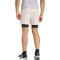 adidas Performance Power Workout 2in1 Trainingsshorts Herren