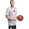 adidas Performance 2000s Logo Basketball Graphic Trainingsshirt Herren