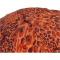 adidas Performance x FARM RIO Printed Cap Herren