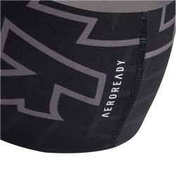 adidas Terrex TERREX AEROREADY Graphic Stirnband Herren