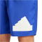 adidas Sportswear Logo CLX Badeshorts Herren