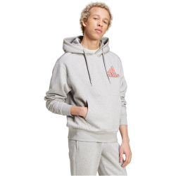 adidas Sportswear Berlin Bear Hoodie Herren