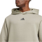 adidas Designed for Trainings-Hoodie Herren