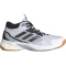 adidas Performance Crazyflight 5 Mid-Top Hallenschuhe Herren