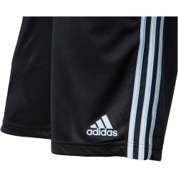 adidas Performance 3-Streifen AEROREADY Knit Trainingsshorts Herren 095A - black/wonblu S