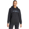 adidas Terrex TERREX Multi Large Logo Hoodie Damen 095A - black M