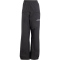 adidas TERREX Multi 2L RAIN.RDY Insulated Wanderhose Damen 095A - black 36