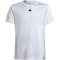 adidas Train Essentials Logo Regular Fit Trainingsshirt Kinder 001A - white/black 164