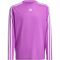 adidas Sportswear Train Essentials Logo Regular Fit langarm Sweatshirt Kinder AFAM - purbur/white 128