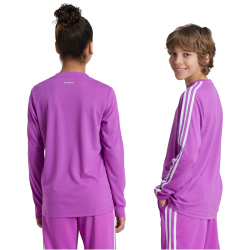 adidas Sportswear Train Essentials Logo Regular Fit langarm Sweatshirt Kinder AFAM - purbur/white 164
