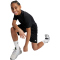 adidas Train Essentials Logo Regular Fit Trainingsshorts Kinder 095A - black/white 128