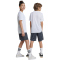 adidas Sportswear Train Essentials Logo Regular Fit Trainingsshorts Kinder ABZU - gresix/white 128