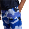 adidas Sportswear Train Essentials Seasonal Print Trainingsshorts Kinder AFAE - bluspa 128