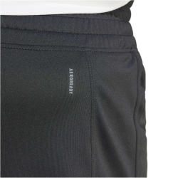 adidas Performance Pacer Essentials Knit High-Waist Trainingsshorts Damen 095A - black 1X (46-48)