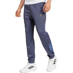 adidas Performance Train Essentials Camo Trainingshose Herren AEDS - shanav M