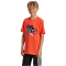 adidas Sportswear Graphic Trainingsshirt Kinder A0TB - brired 128