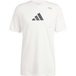 adidas Performance AEROREADY All-Gym Category Graphic Trainingsshirt Herren 077A - cwhite S