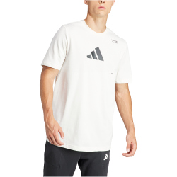 adidas Performance AEROREADY All-Gym Category Graphic Trainingsshirt Herren 077A - cwhite S
