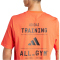 adidas Performance AEROREADY All-Gym Category Graphic Trainingsshirt Herren A0TB - brired XS