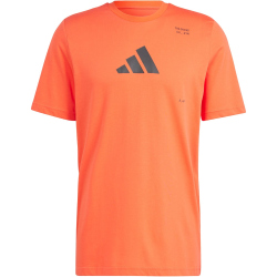 adidas Performance AEROREADY All-Gym Category Graphic...