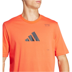adidas Performance AEROREADY All-Gym Category Graphic Trainingsshirt Herren A0TB - brired S