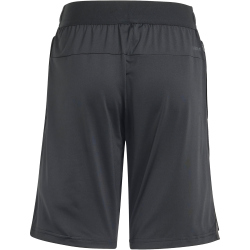 adidas Sportswear AEROREADY Trainingsshorts Kinder 095A -...