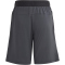 adidas Sportswear AEROREADY Trainingsshorts Kinder AAGG - carbon/refsil 128