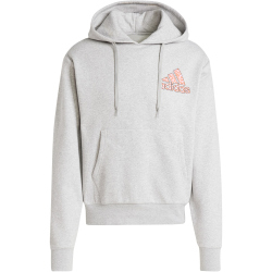 adidas Sportswear Berlin Bear Hoodie Herren 83F7 - mgreyh M