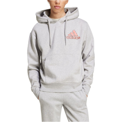 adidas Sportswear Berlin Bear Hoodie Herren 83F7 - mgreyh M